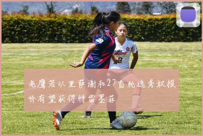 老鹰若以里萨谢和27首轮选秀权报价有望获得特雷墨菲