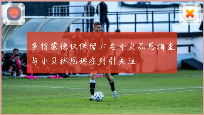 多特蒙德仅保留六名非卖品恩梅查与小贝林厄姆在列引关注